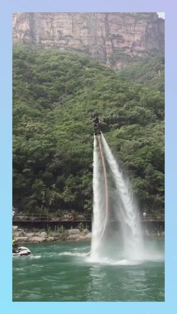 动物帮帮忙保卫家园